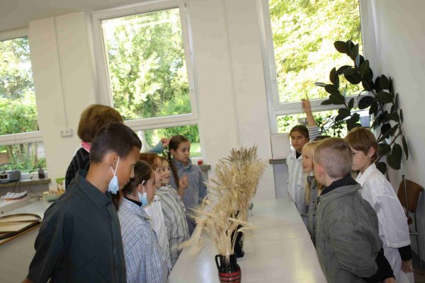 2021-09-23 Schule Am Leutzscher Holz 3c (2)