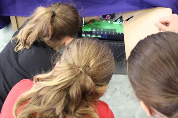 2024-06-13 StopMotion Klasse 5d (7)
